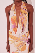 Load image into Gallery viewer, VESTIDO LONGO ASTROMELIA
